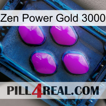 Zen Power Gold 3000 04